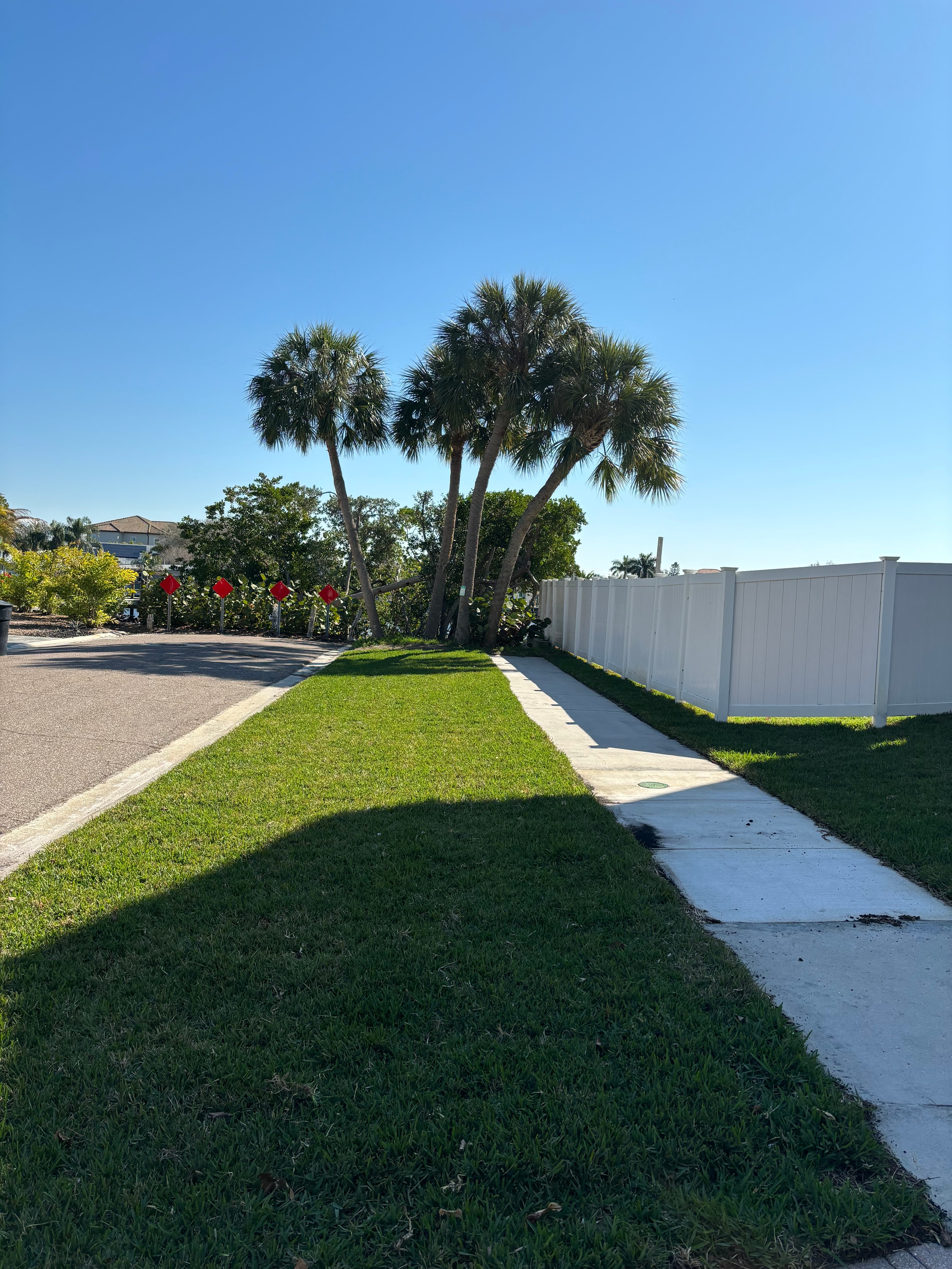Sod Installation — Tampa Bay — After